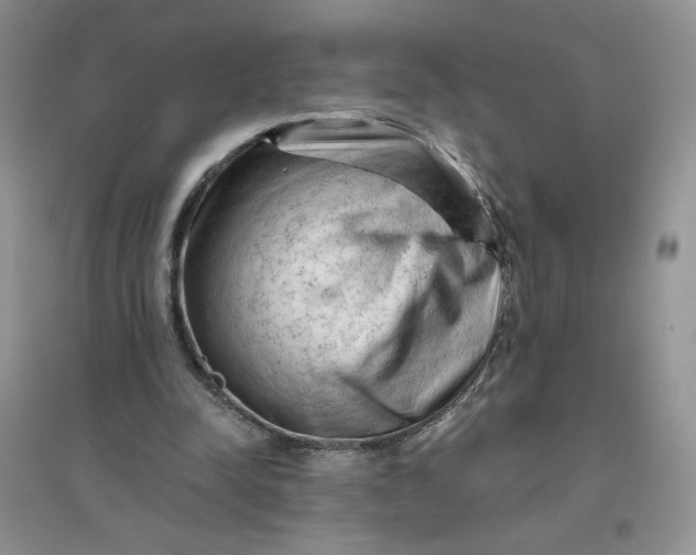 X0000096410342200802071659