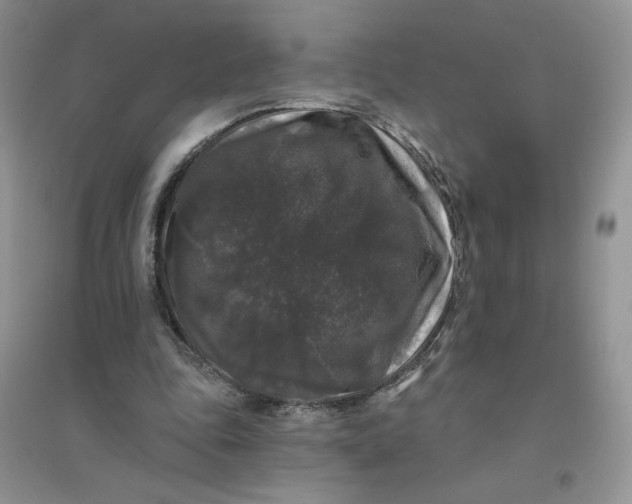 X0000096410343200802071659