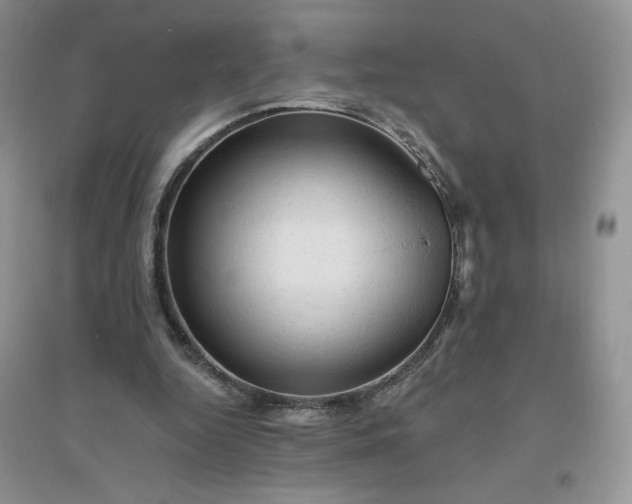 X0000096410344200802071659