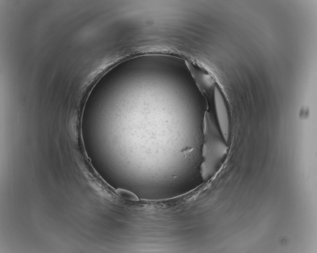 X0000096410345200802071659