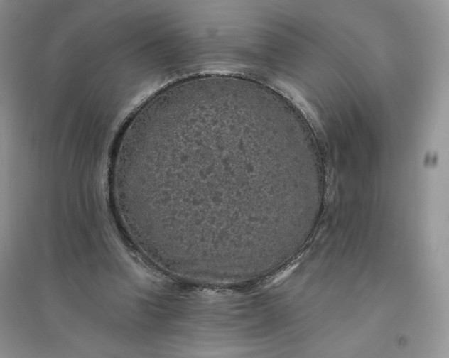 X0000096410346200802071659