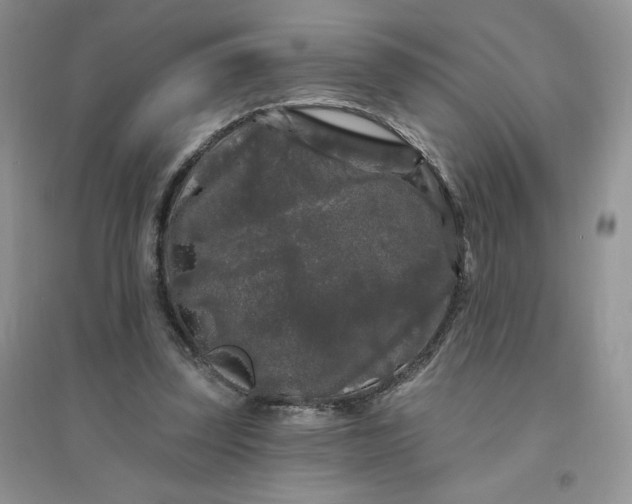 X0000096410347200802071659