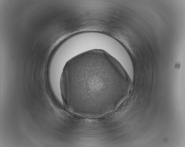 X0000096410348200802071659