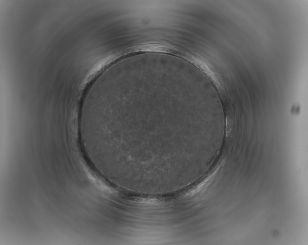 X0000096410349200802071659