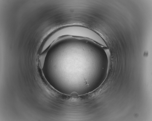 X0000096410350200802071659