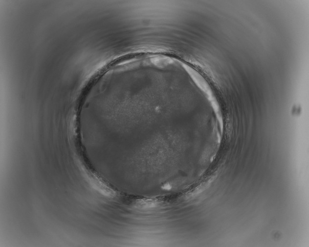 X0000096410351200802071659