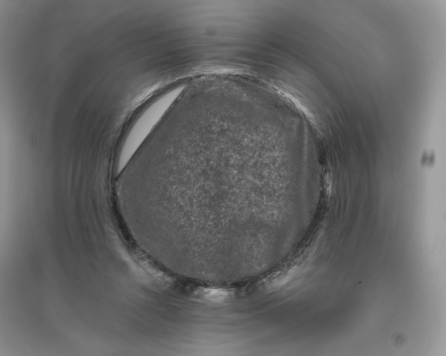 X0000096410352200802071659