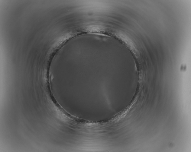 X0000096410353200802071659