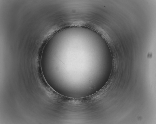 X0000096410354200802071659