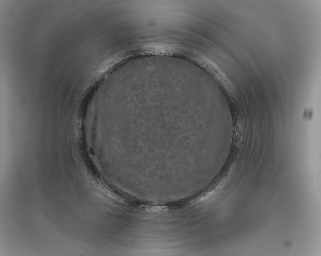 X0000096410355200802071659