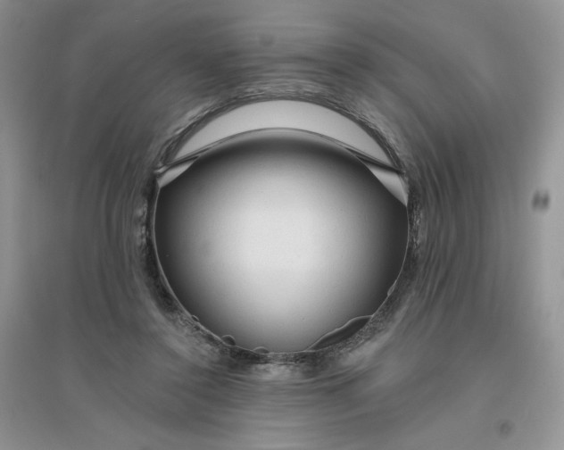 X0000096410356200802071659