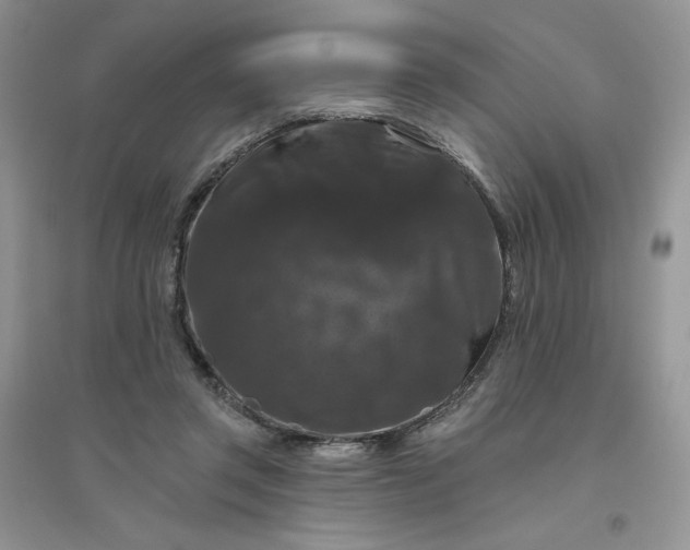 X0000096410357200802071659