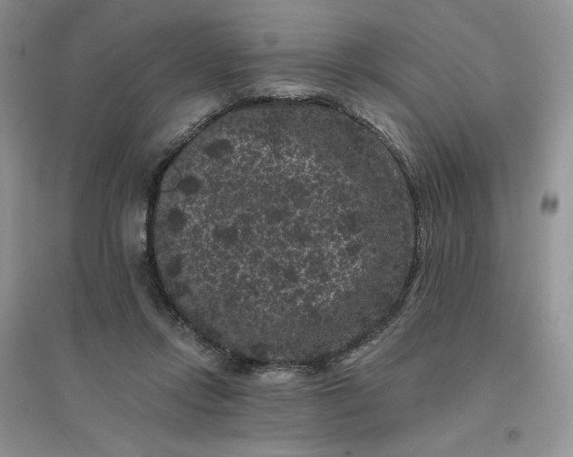 X0000096410358200802071659