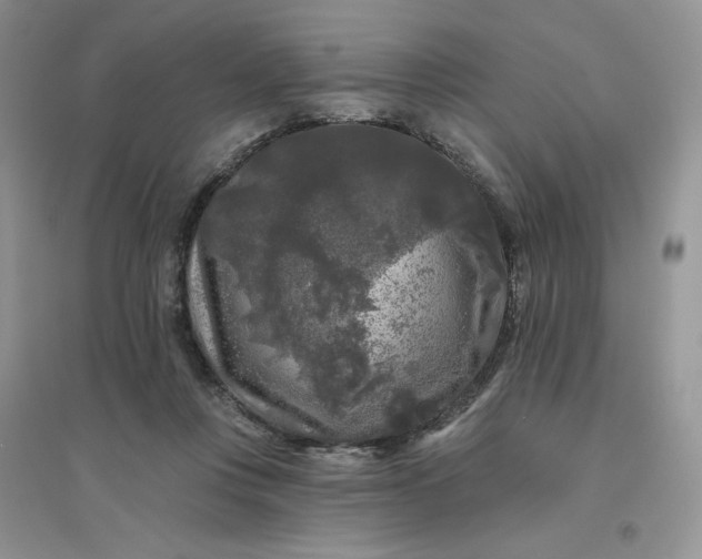 X0000096410359200802071659