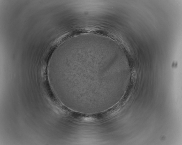 X0000096410360200802071659