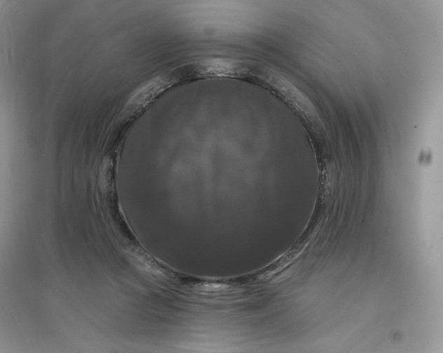 X0000096410361200802071659