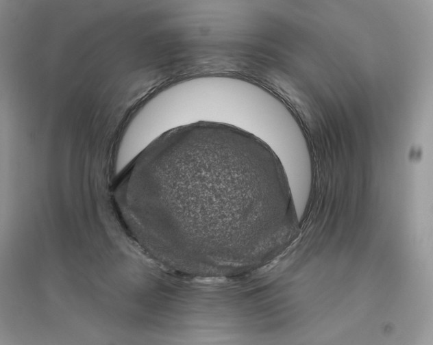 X0000096410362200802071659