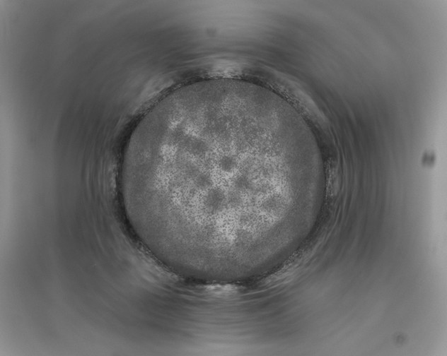 X0000096410363200802071659