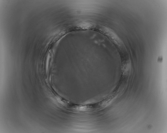 X0000096410365200802071659