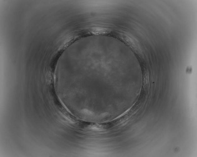 X0000096410367200802071659