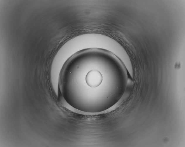 X0000096410368200802071659