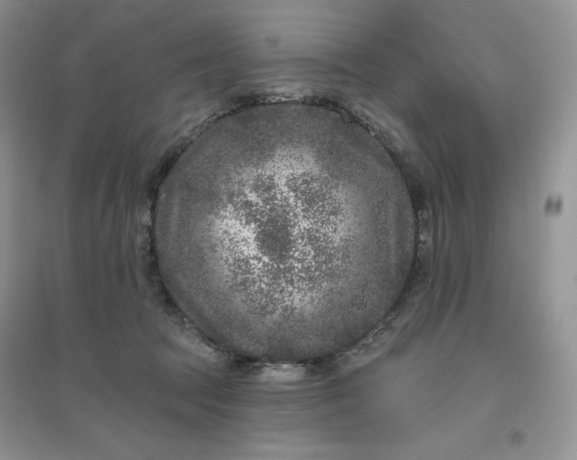 X0000096410369200802071659