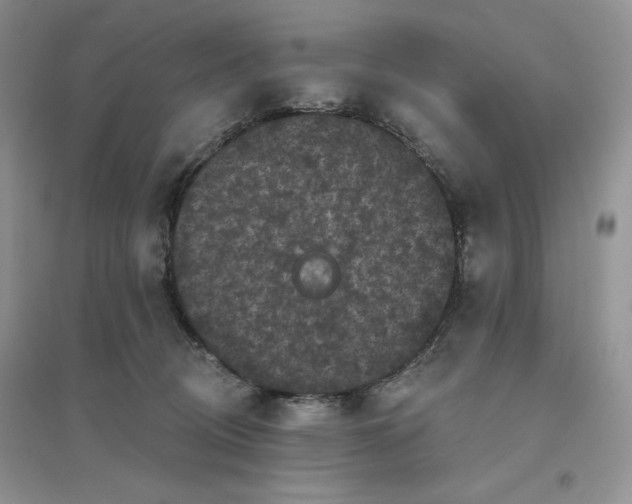 X0000096410370200802071700