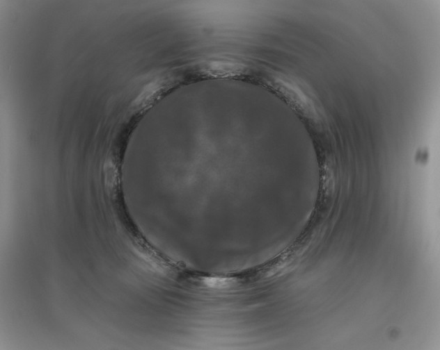 X0000096410371200802071700