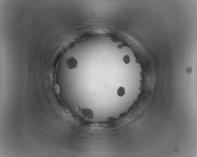 X0000096410373200802071700