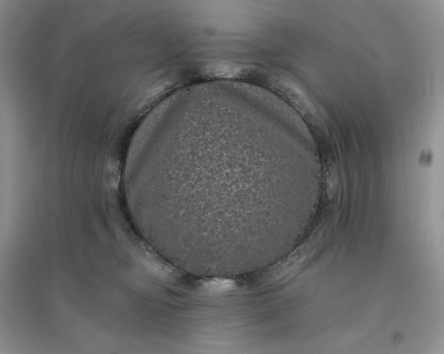 X0000096410374200802071700