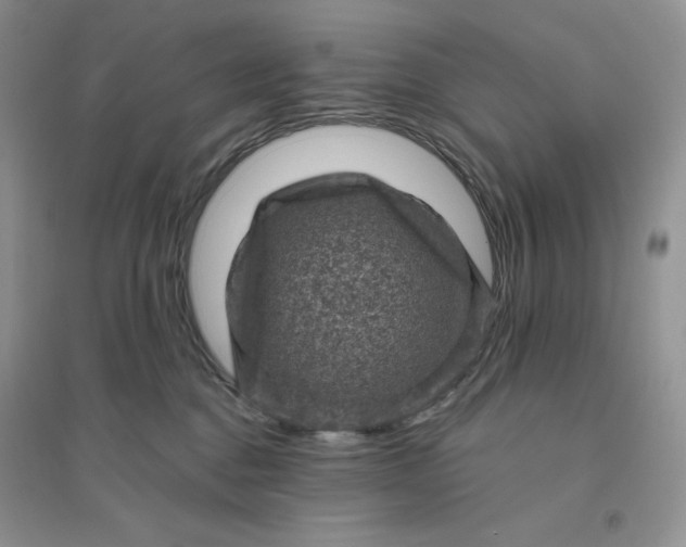 X0000096410376200802071700