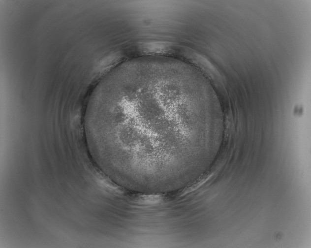 X0000096410377200802071700