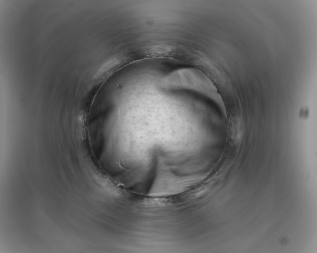 X0000096410378200802071700