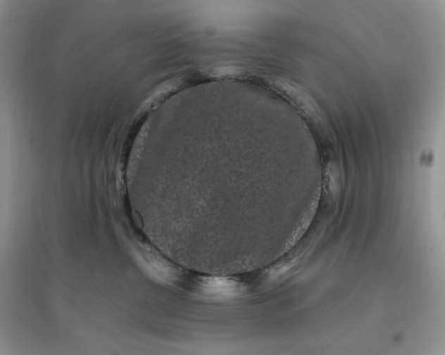 X0000096410380200802071700