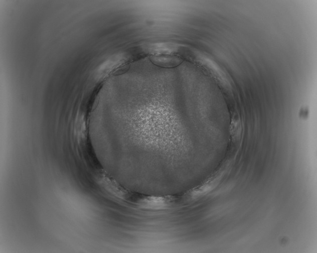 X0000096410381200802071700