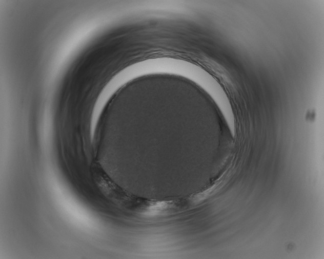 X0000096410382200802071700