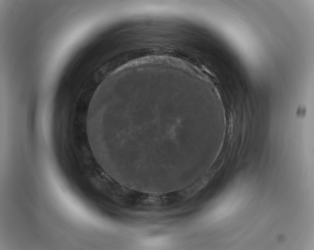 X0000096410383200802071700