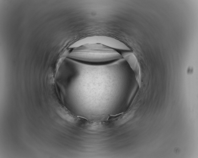 X0000096410384200802071700