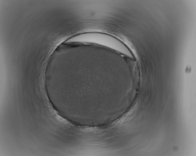 X0000096410385200802071659