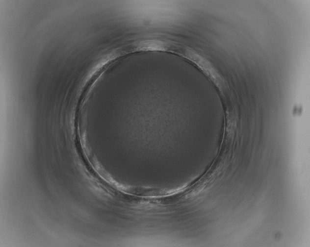 X0000096410386200802071659