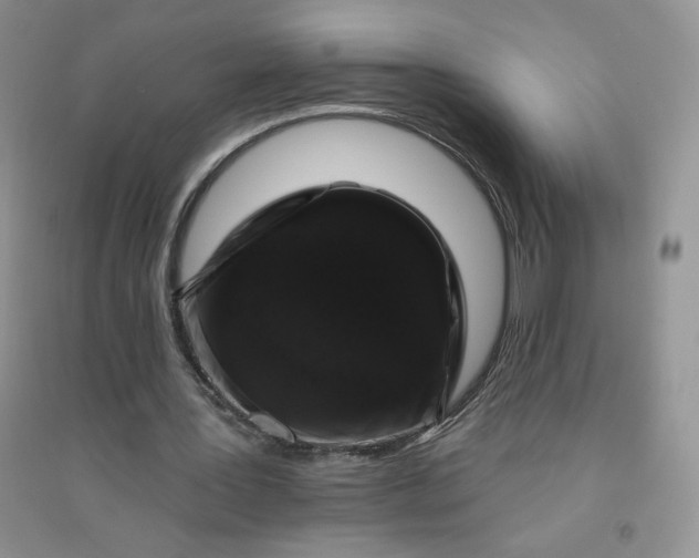 X0000096410387200802071659