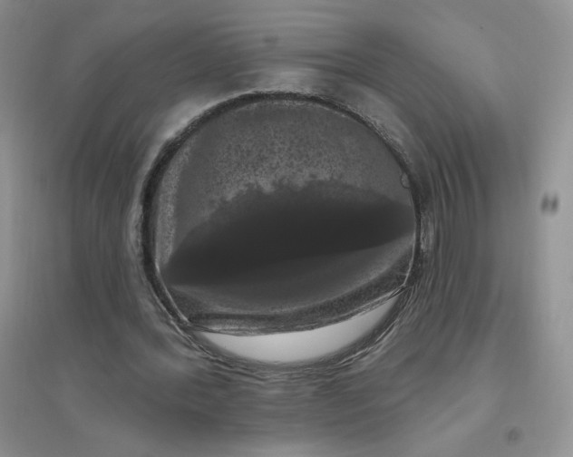 X0000096410388200802071659