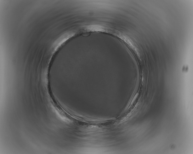 X0000096410390200802071659