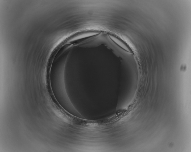 X0000096410391200802071659