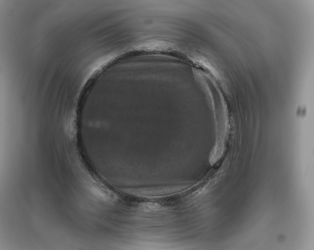 X0000096410392200802071659