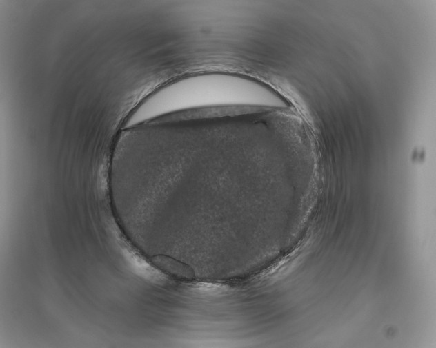 X0000096410393200802071659