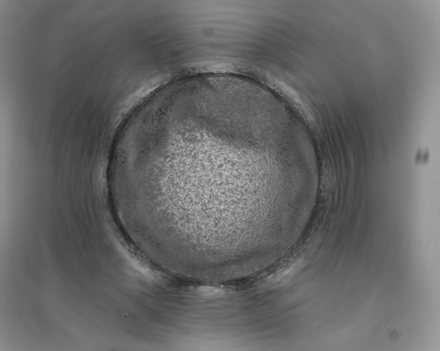 X0000096410394200802071659