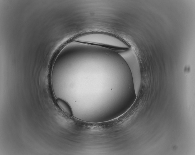 X0000096410395200802071659