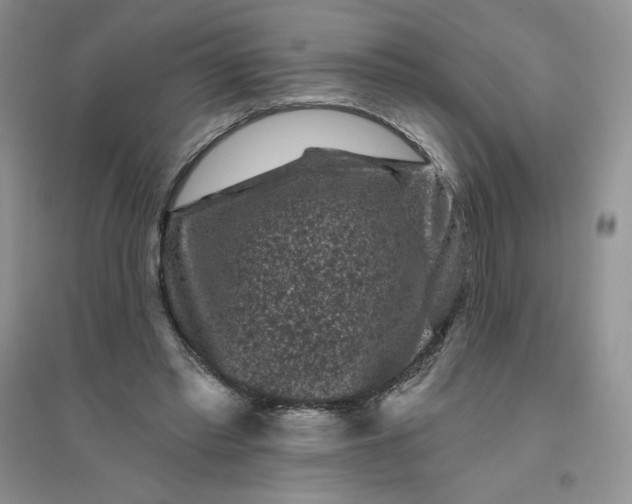 X0000096410397200802071659