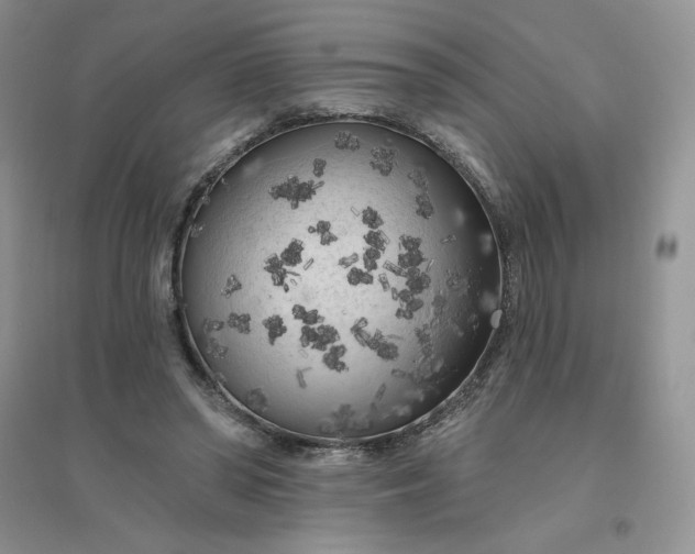 X0000096410398200802071659